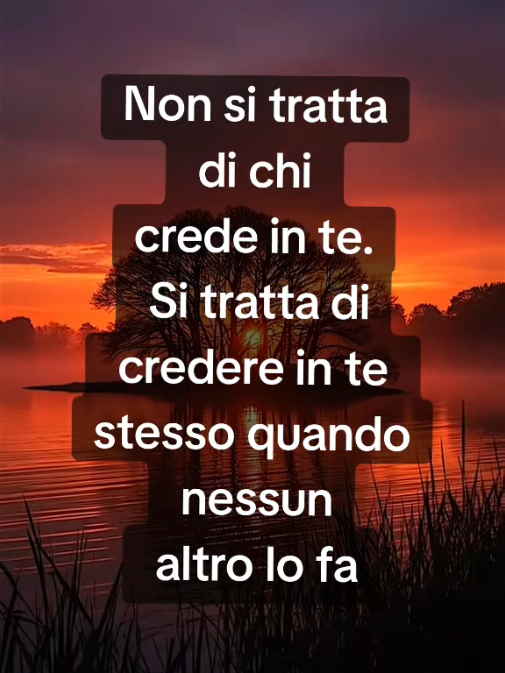 @💫FRASI&CITAZIONI💫
