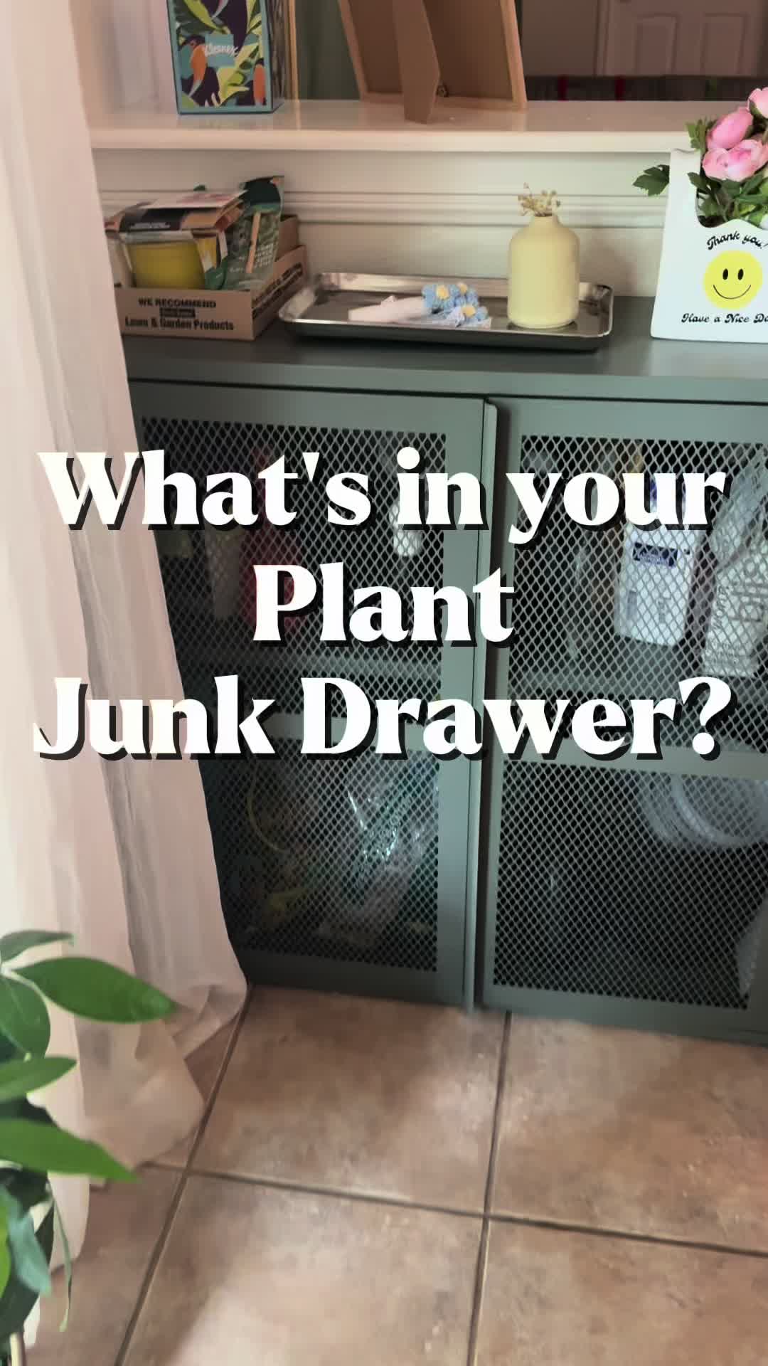 @que3nBeans_plants