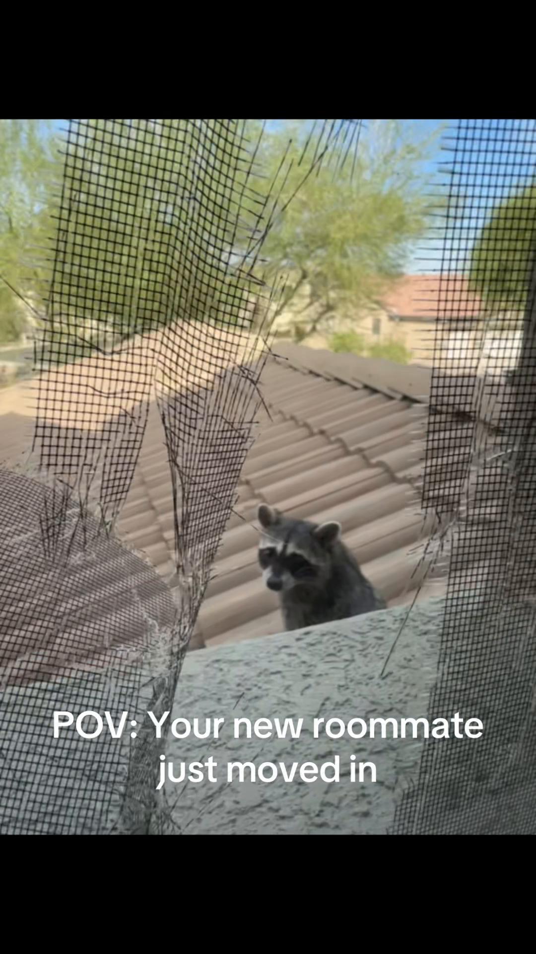 @JewlyOnTheGo