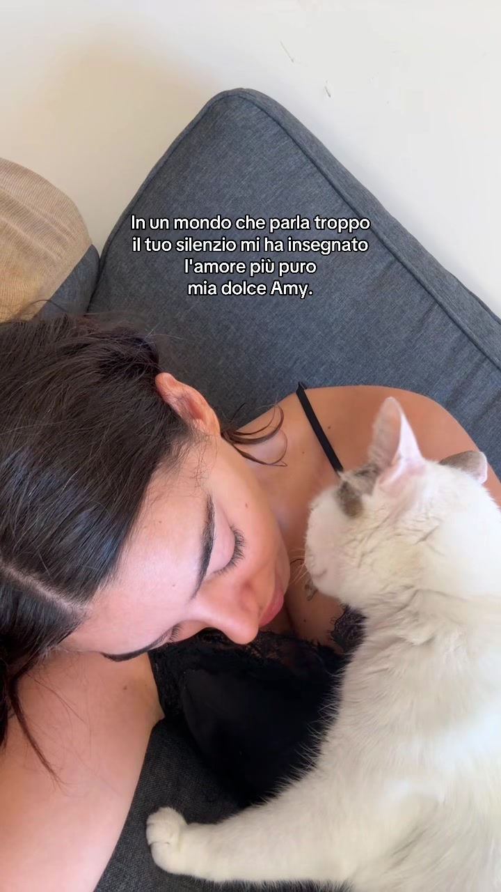 @Anna D'auria 💜