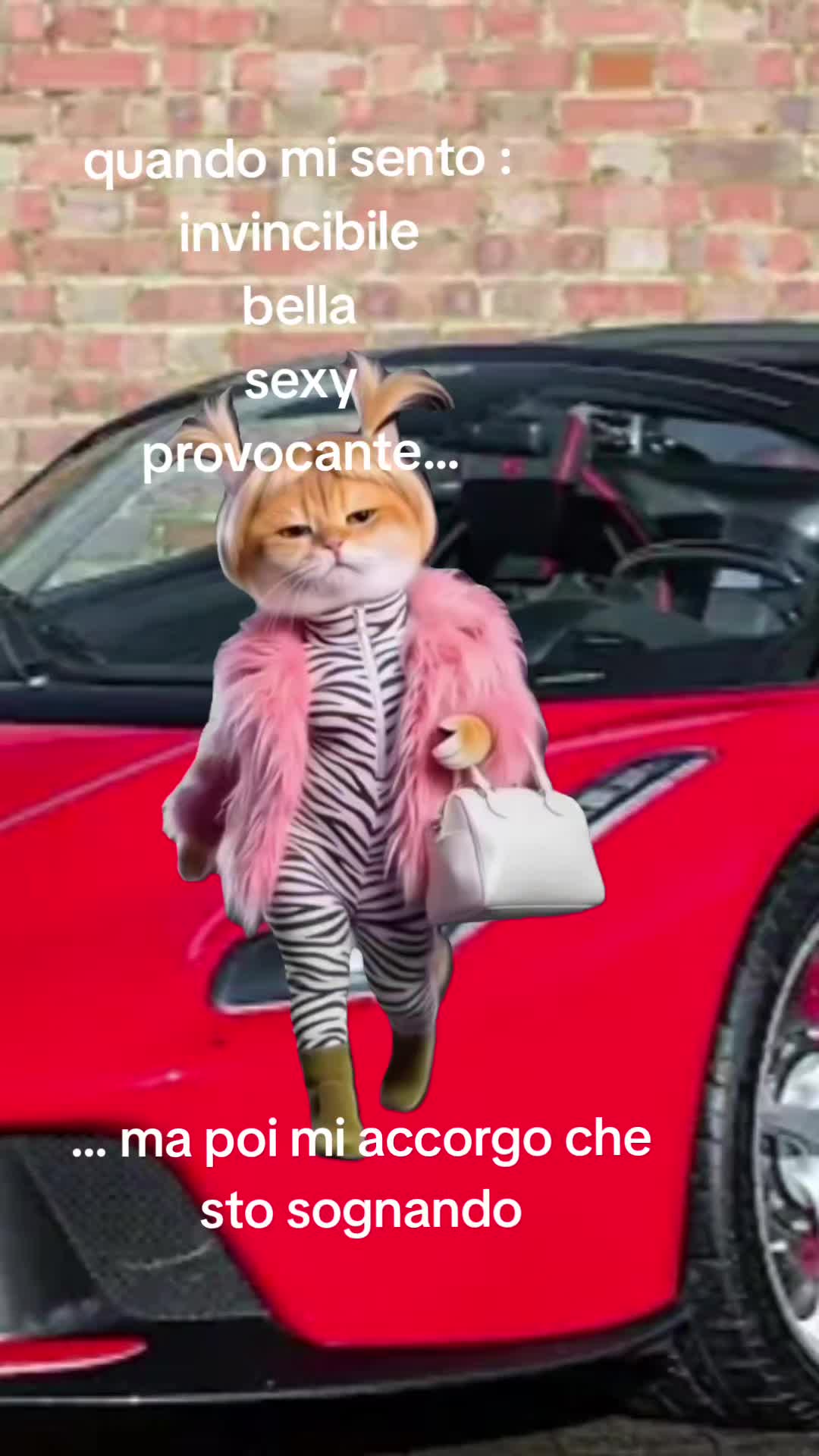 @Fufy