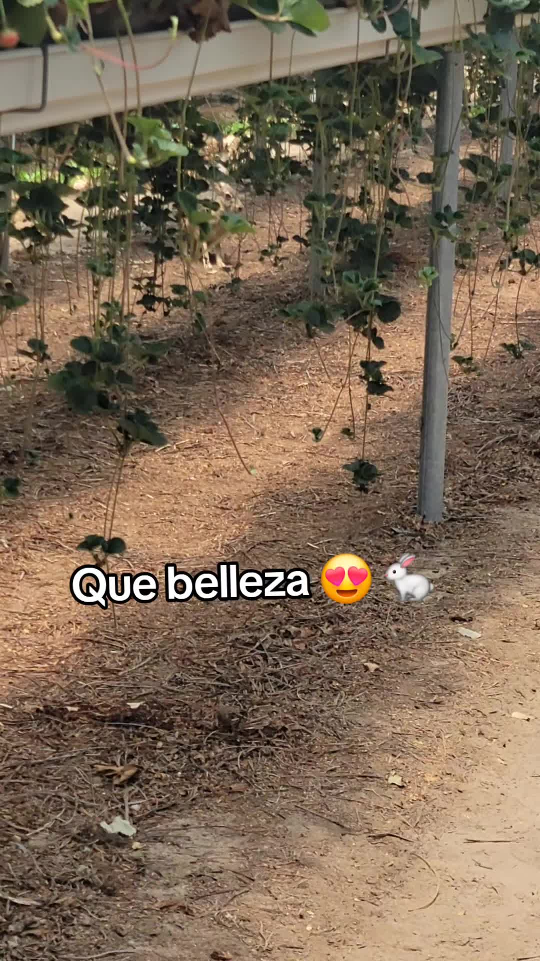 @JennyMorales08