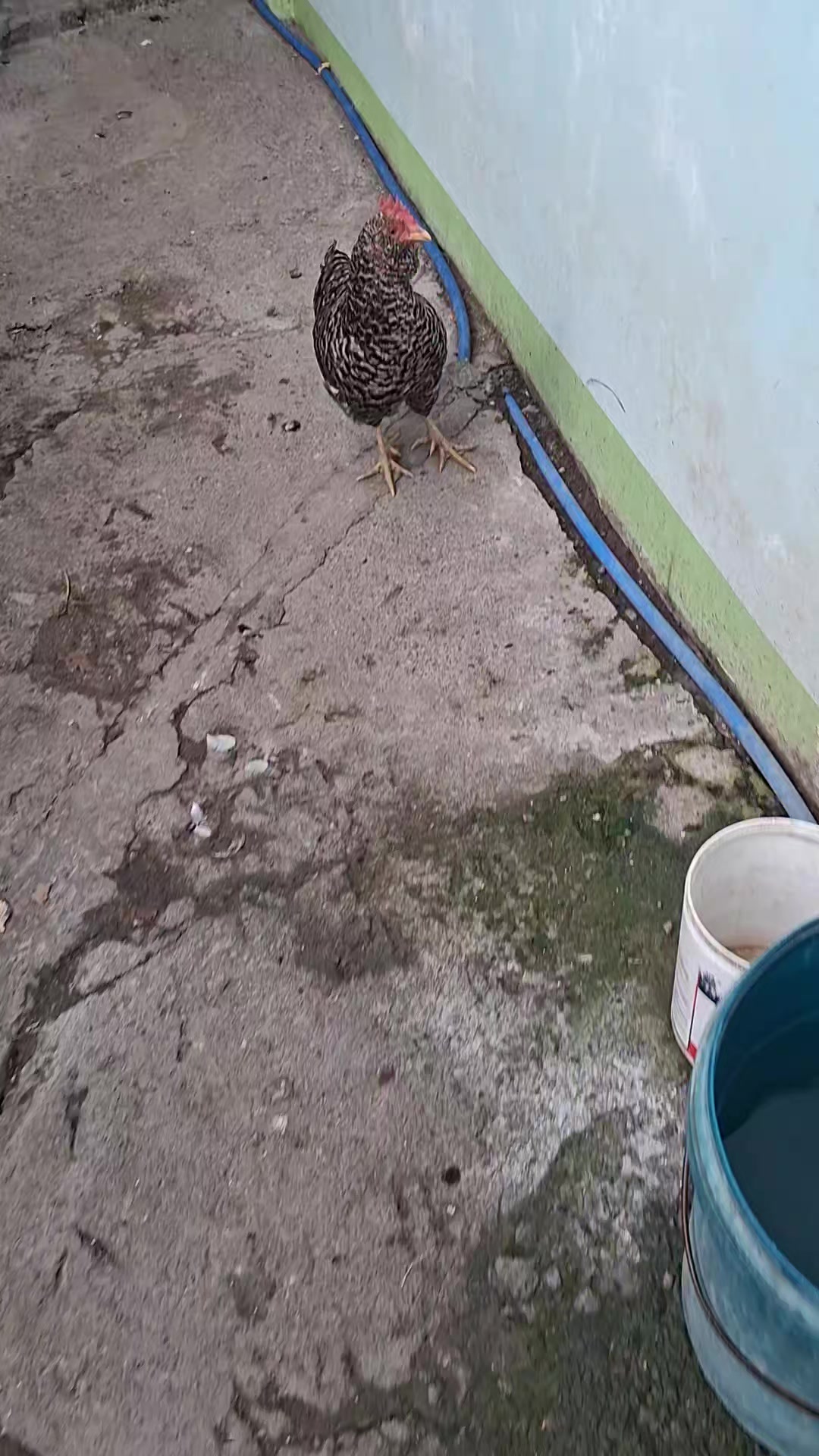 @😾MALDITA AKO😾