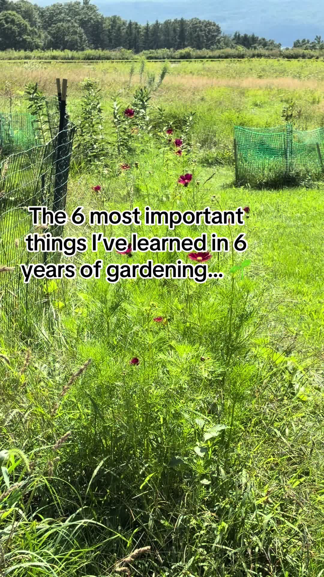 @Resistance Homesteaders