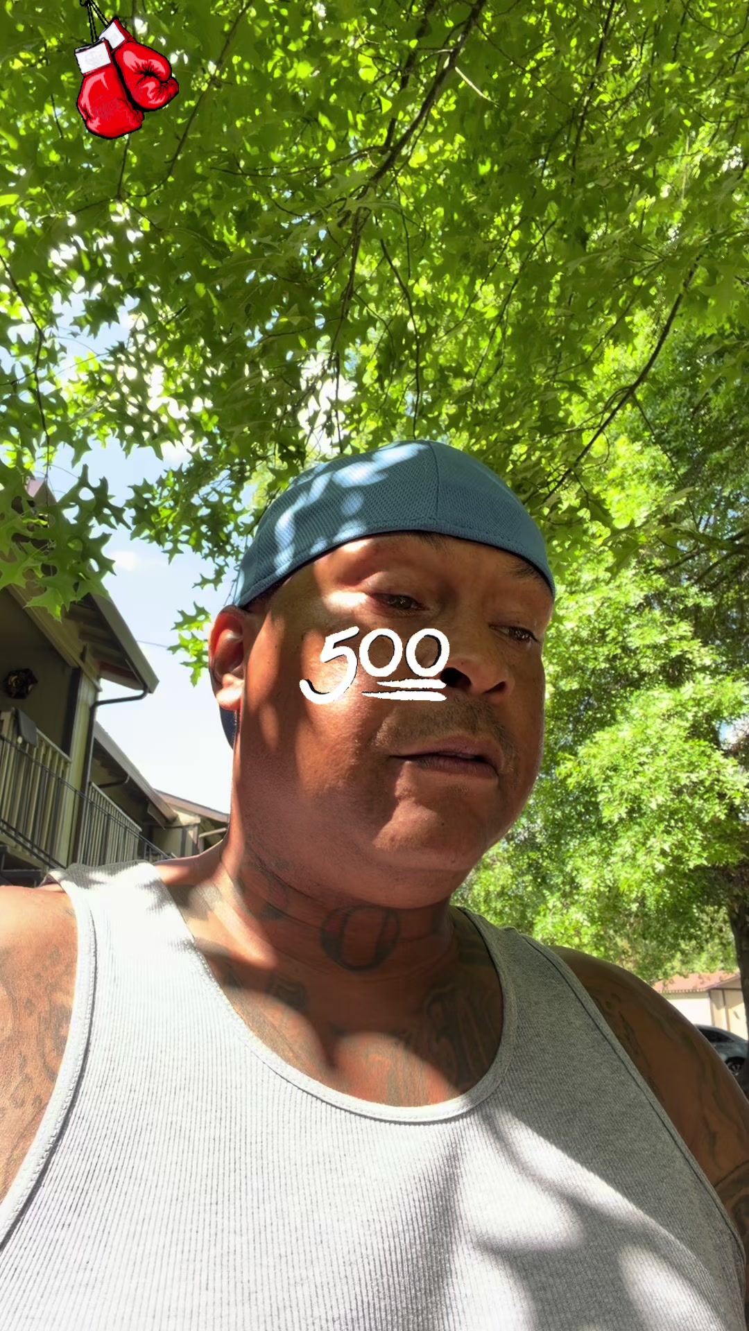 @big_box_500
