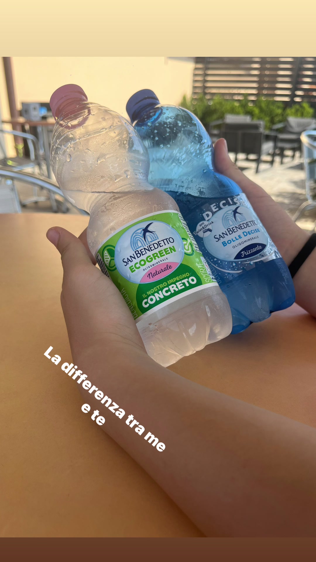 @onion&alta