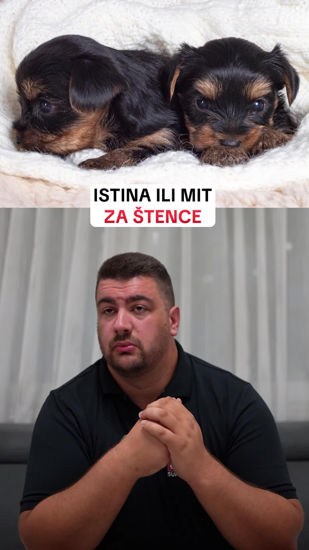 @superdog.akademija