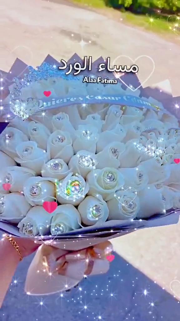 @Alaa Fatima