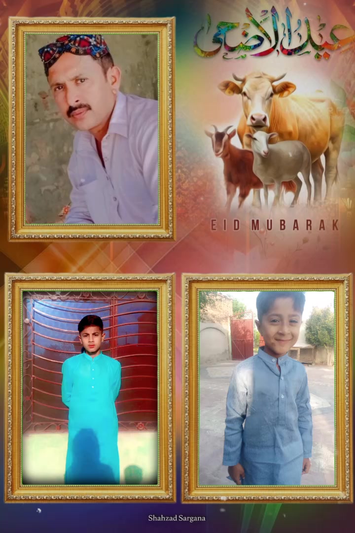 @M.Shoaib444