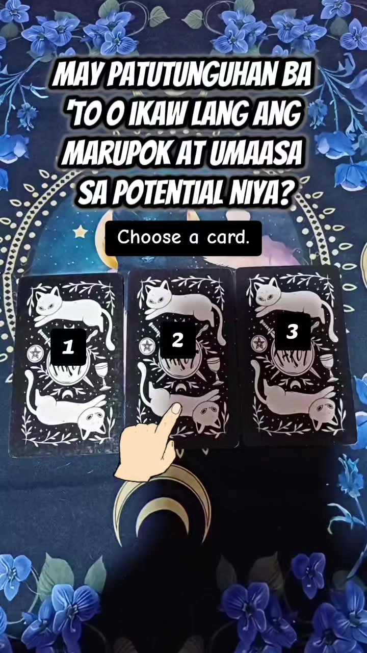 @Marie Tarot Reader