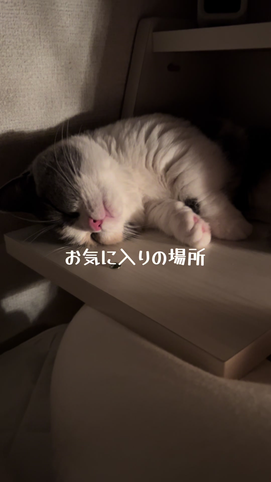 @うにぽて