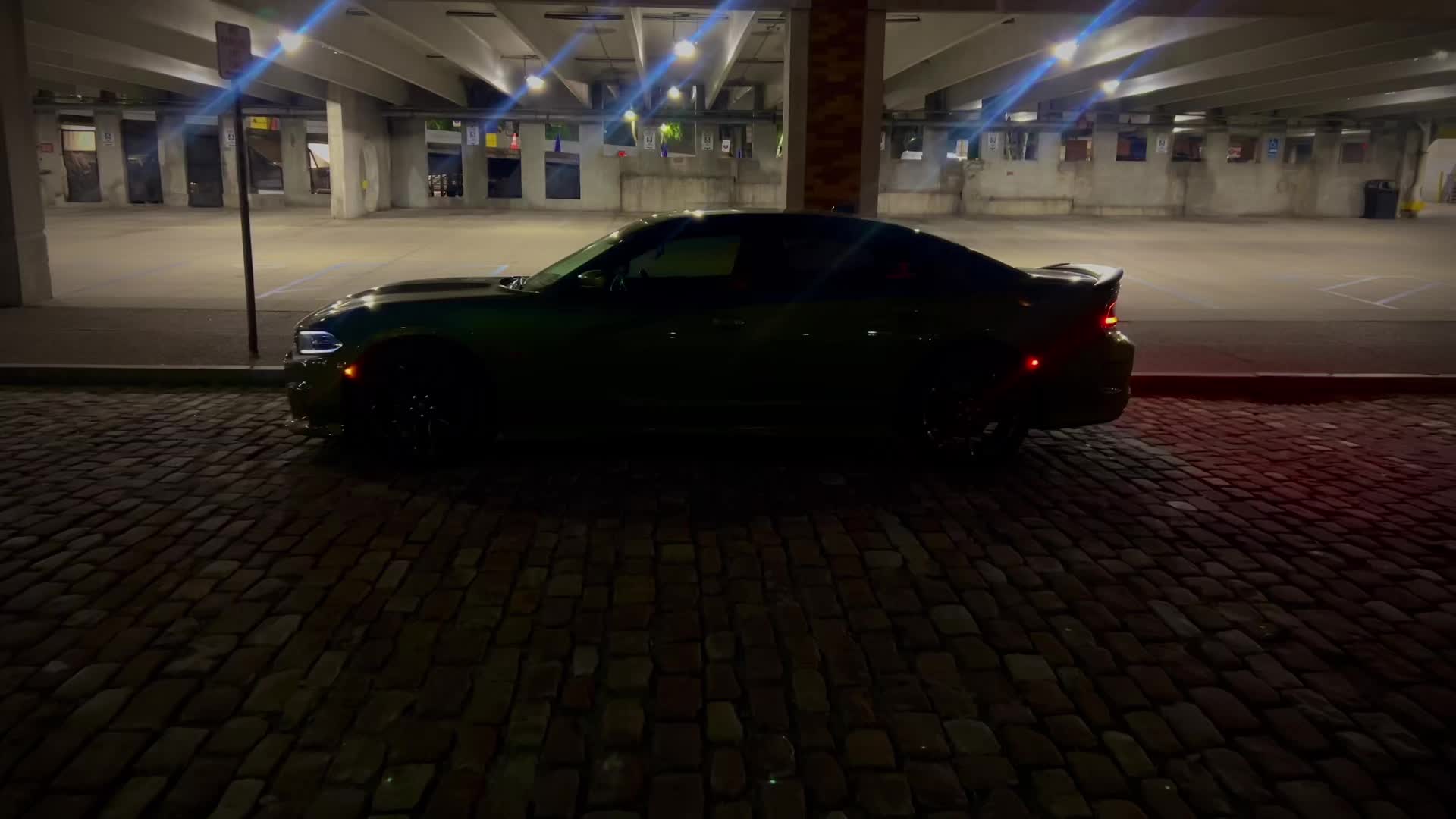 @392Predator