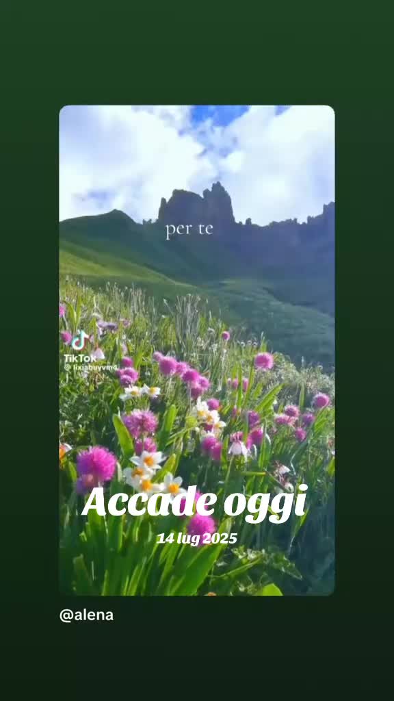 @alena