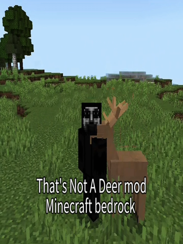 @TheKnockerMC