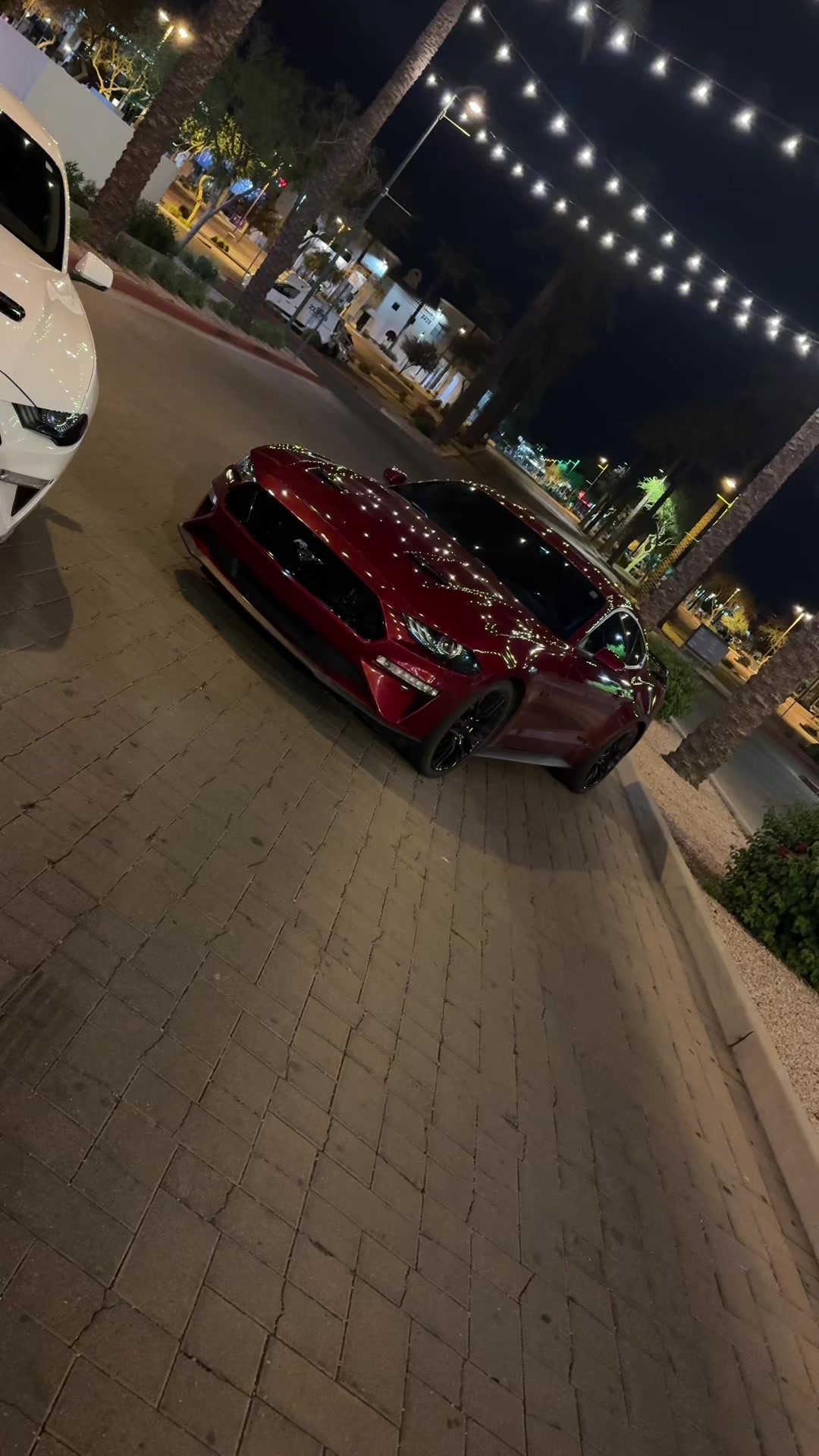 @5.0 Snowyy