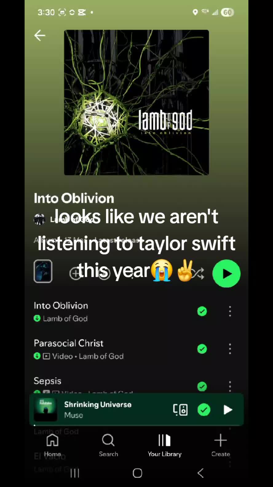 @slipknotfanvermillion