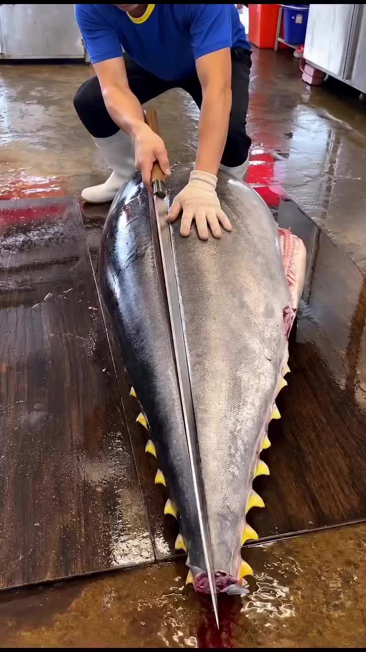 @kdyxjgi..__364