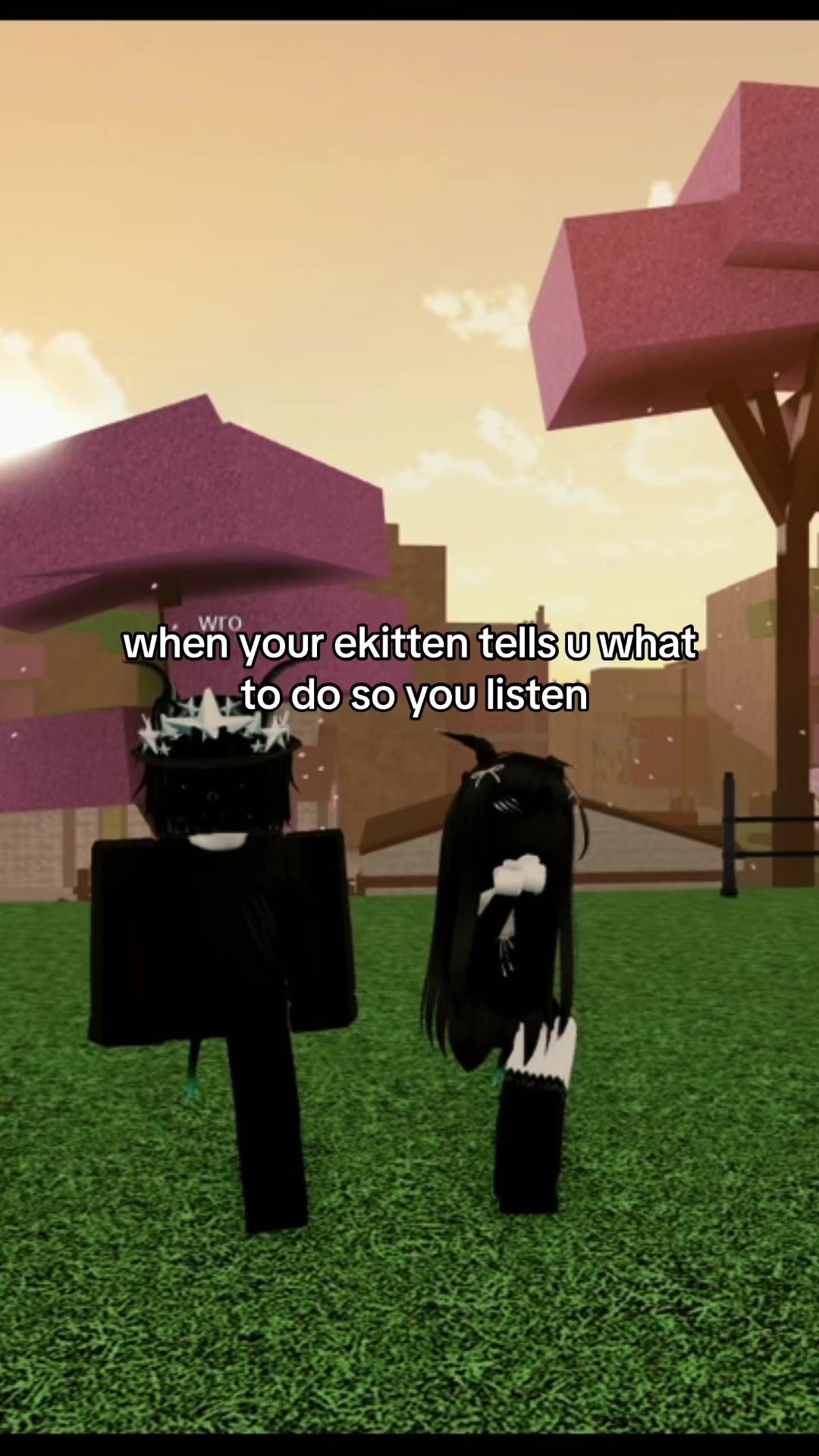 @wro