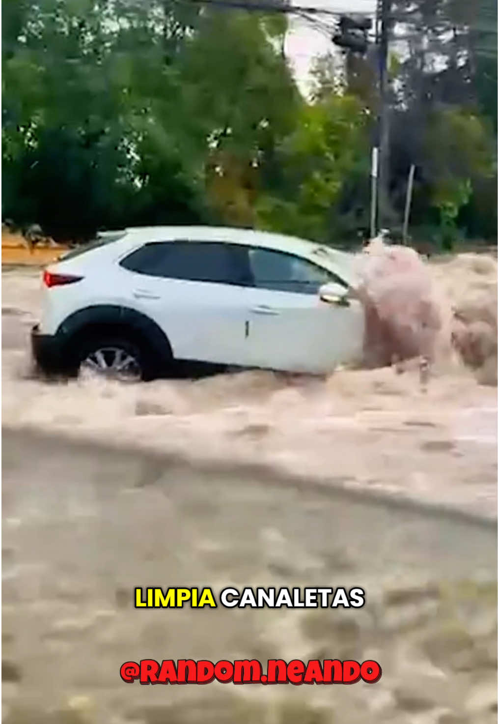 @Randomneando
