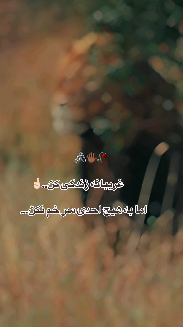 @𓆩•.M4sror07.•𓆪