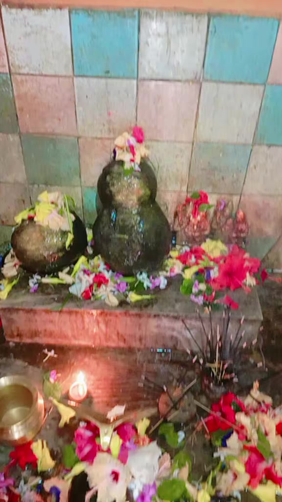 @chandrika das