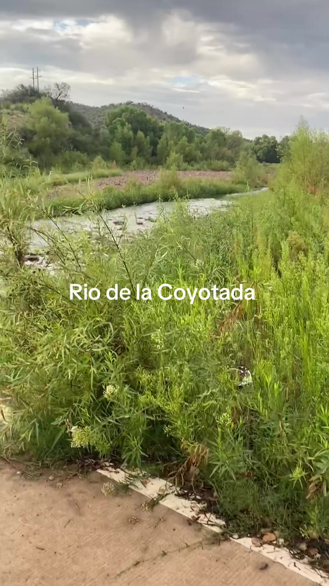 @rcarmen27