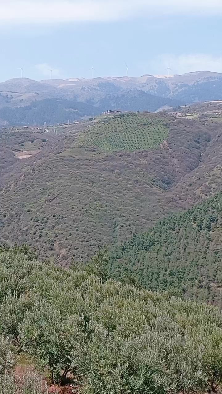 @Ali &Ccedil;ankaya