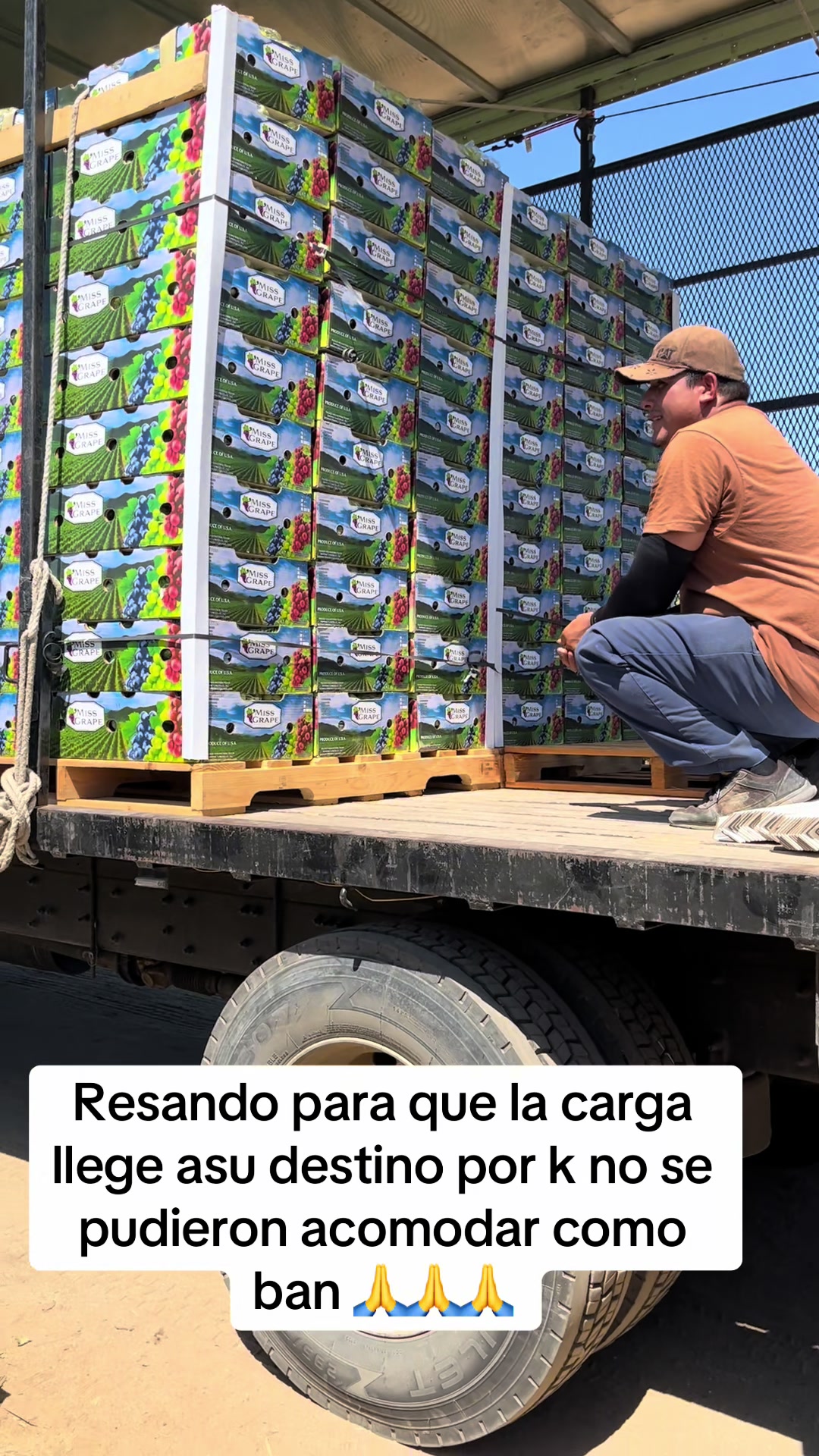 @Corita.s550