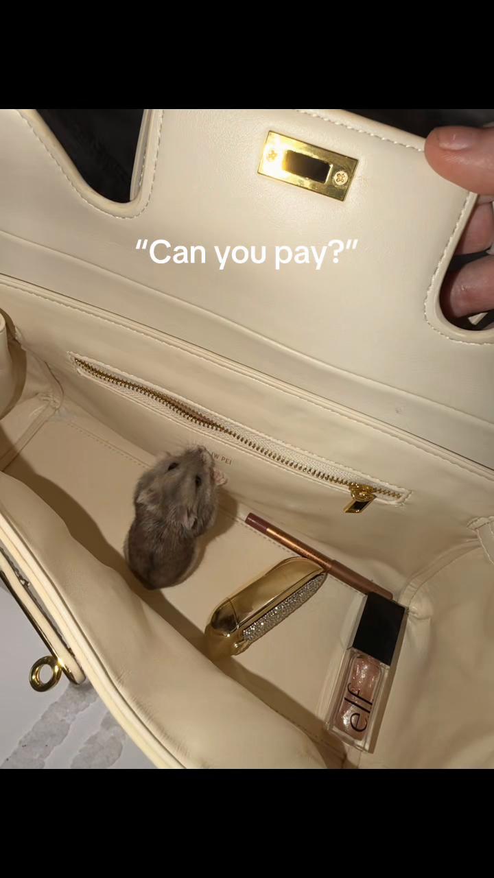 @hayleykd24