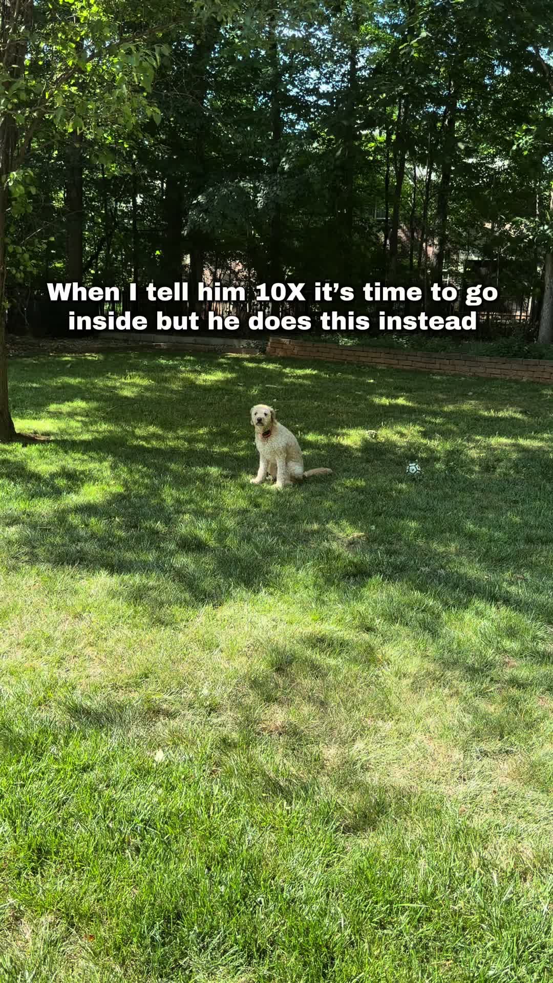@Winston
