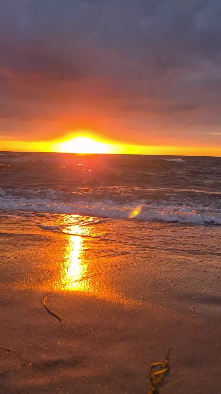 @alex89_m.l