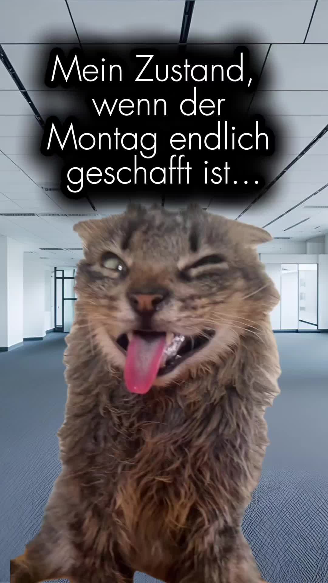 @storfine