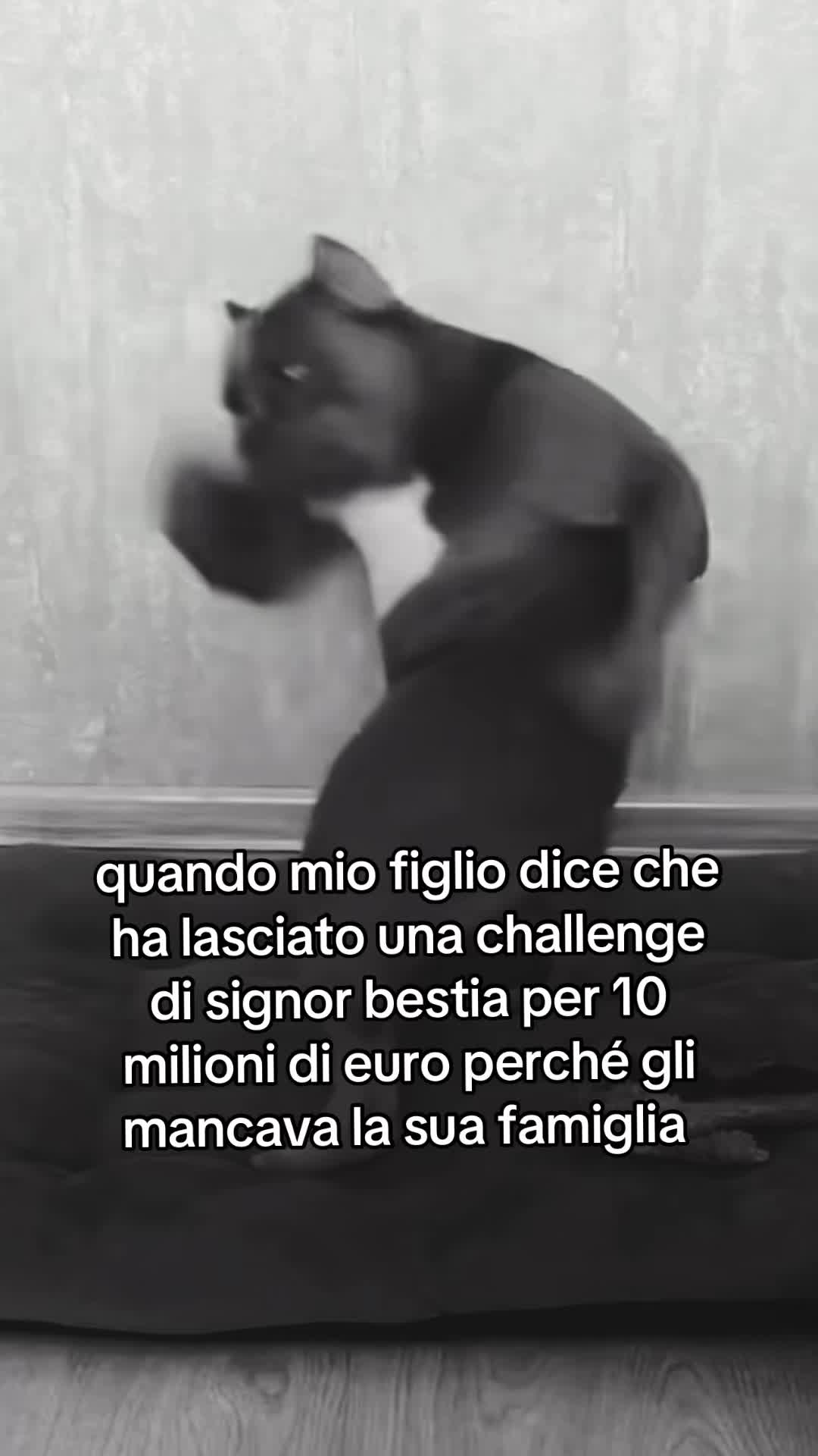 @il.tiktoker.di_capaccio