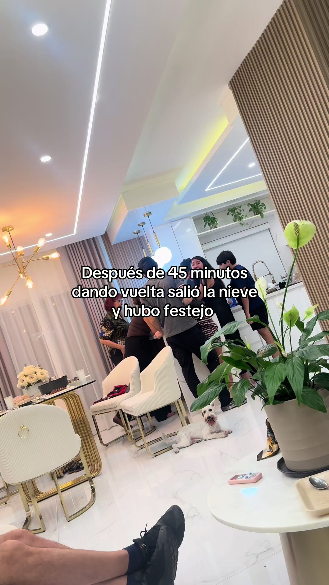 @Alejandra Bio AB