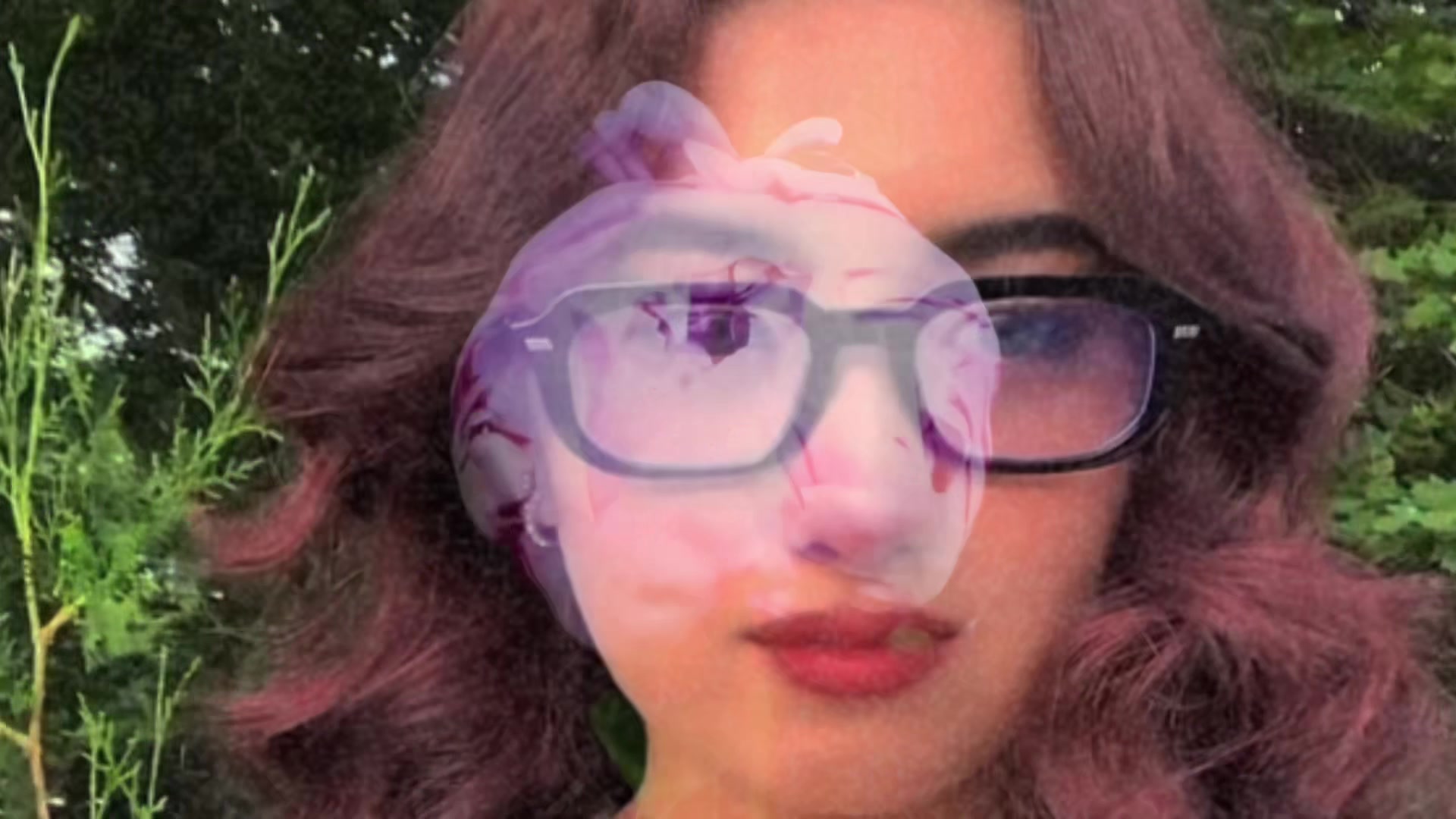 @shahzadeelan