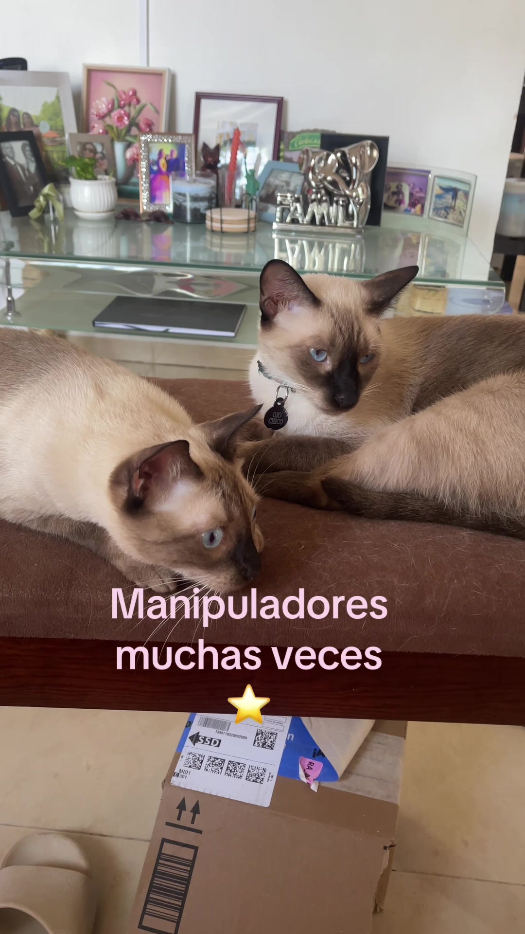 @Hermanitos siameses