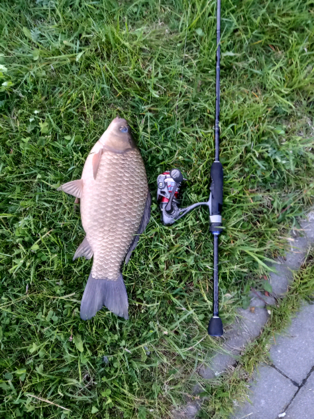 @TimaFish