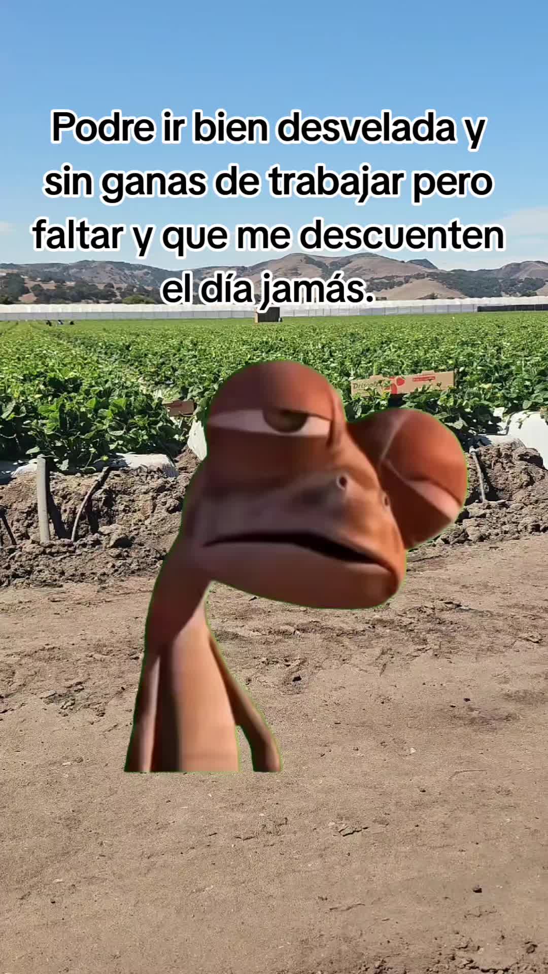 @🇲🇽🐦⬛🪺VASQUEZ🚚🌪💎