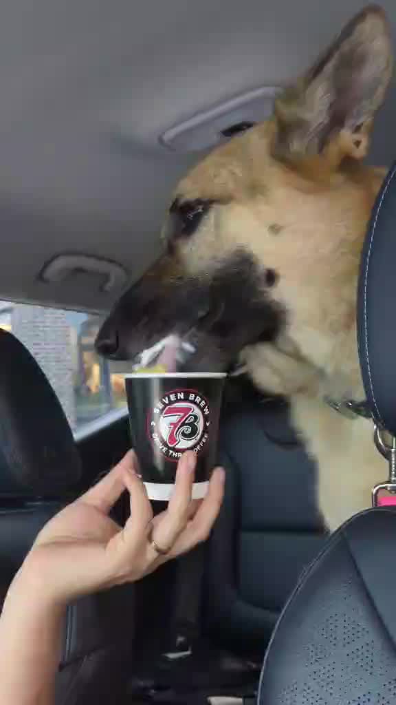 @2x2 Rescue