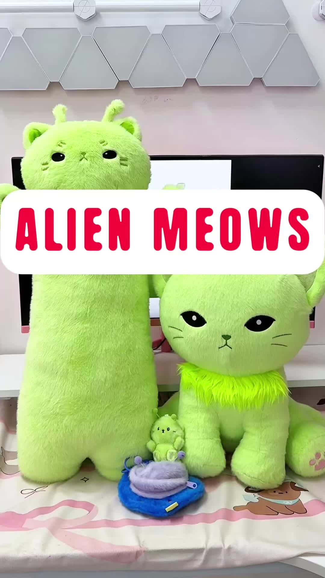 @PLUSHSHOP.COM