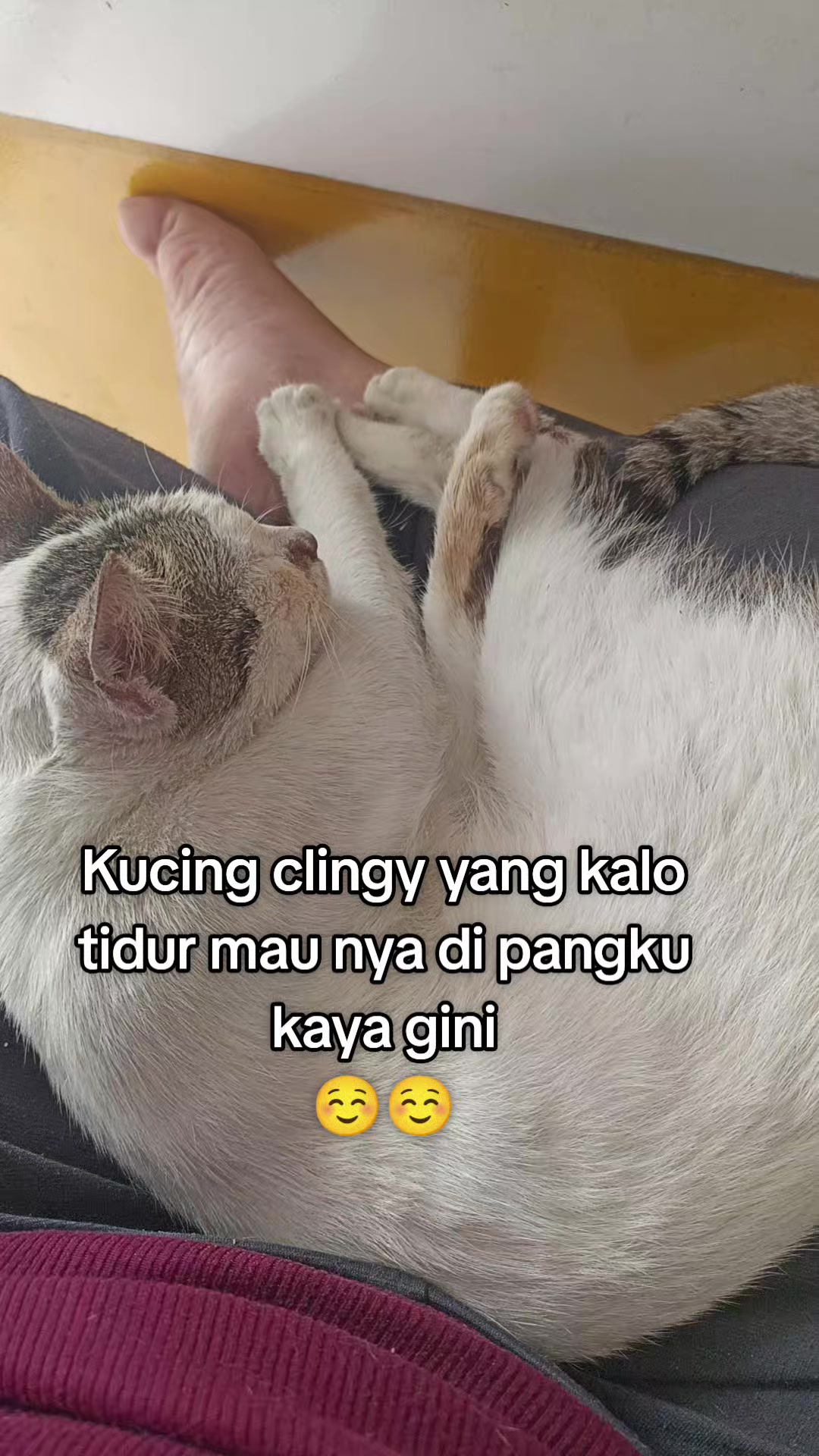 @Onti Dith Jumbo