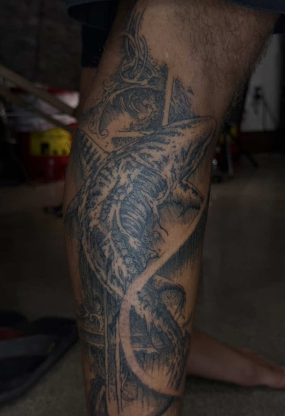 @nexus_tatt2