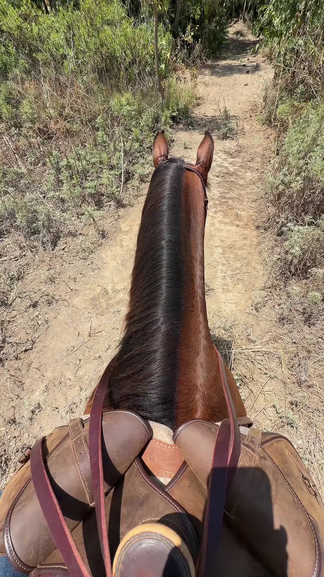 @Hennybacon