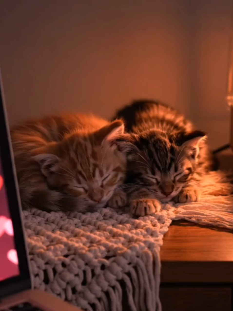 @purerpurr