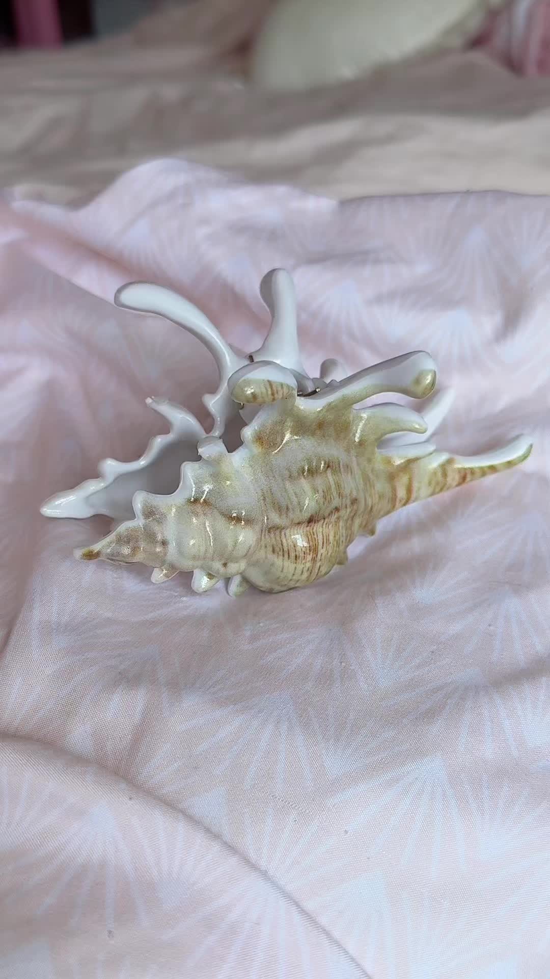 @kxttygvts