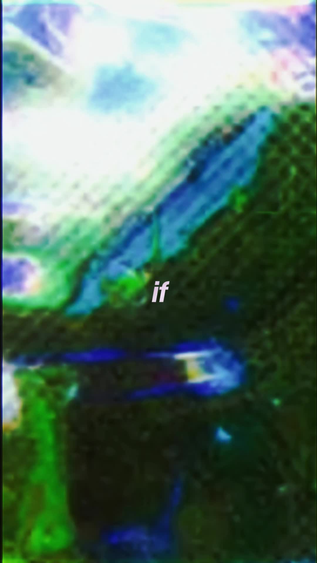 @Embodiment Celestial