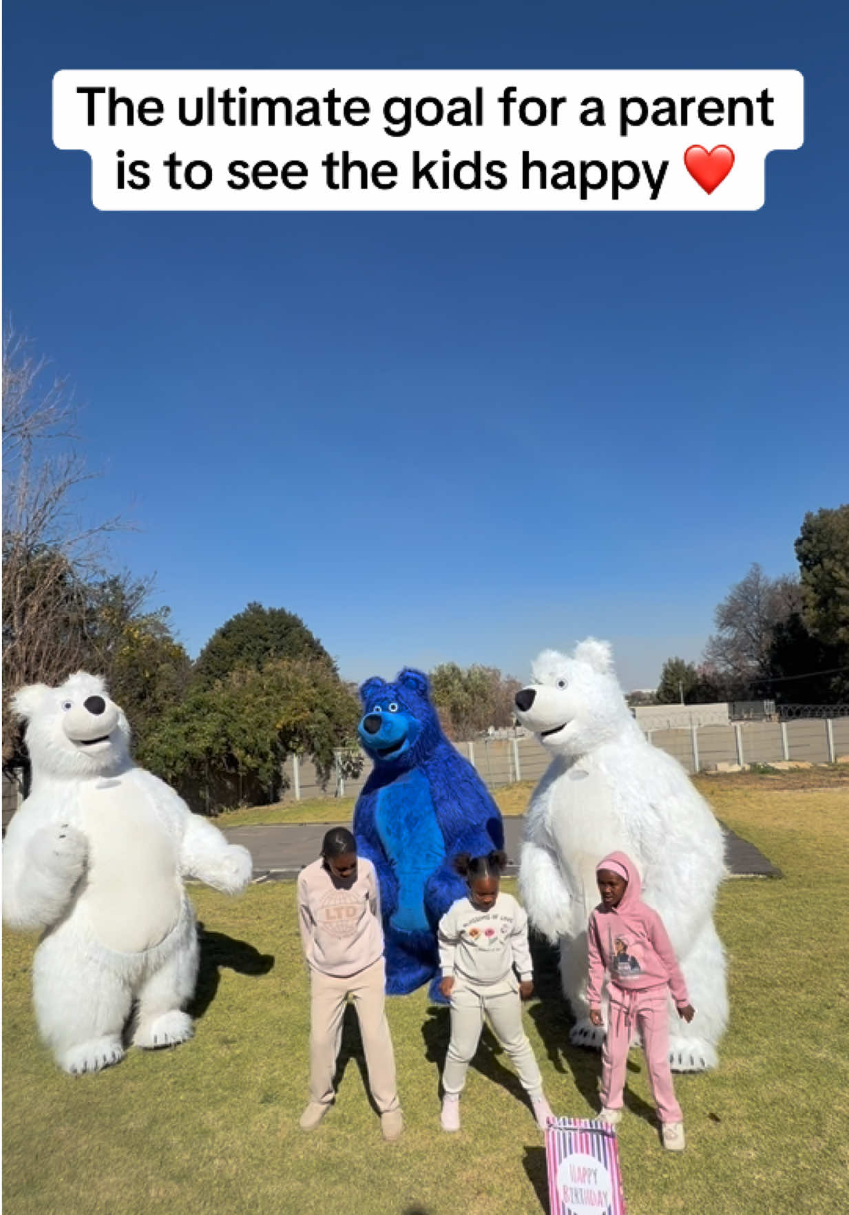 @dancingmascotssa