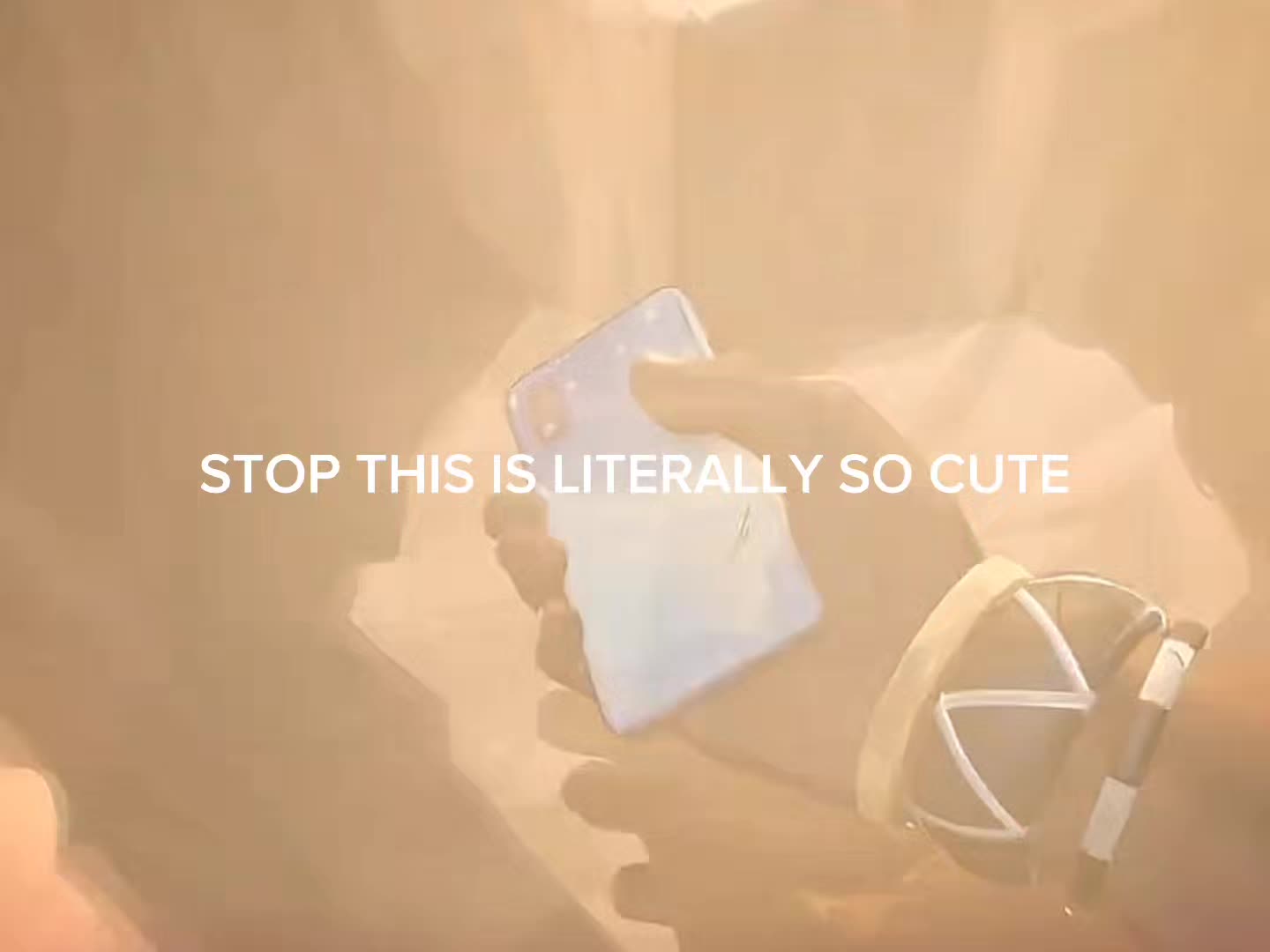 @mitzuki