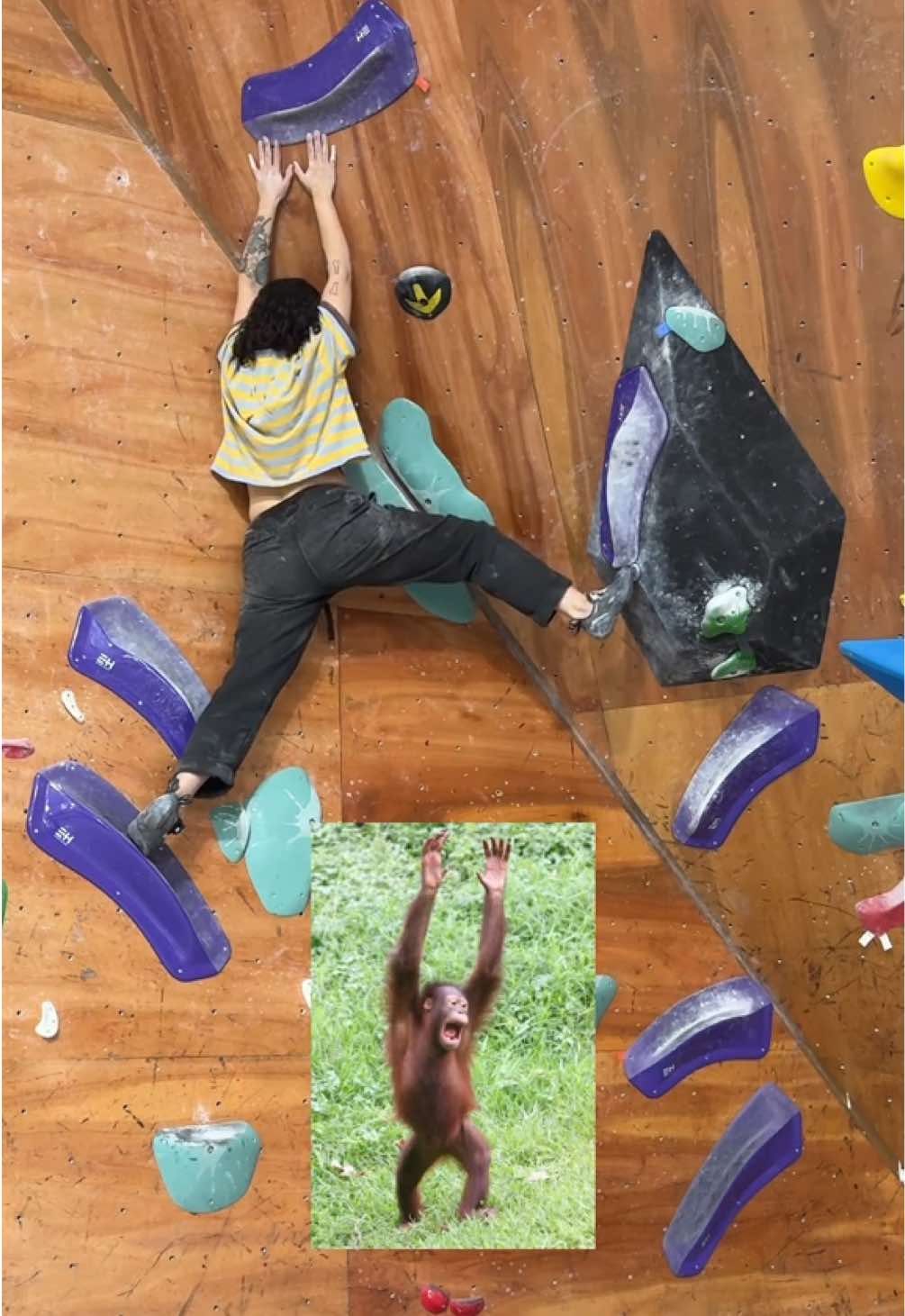 @jo