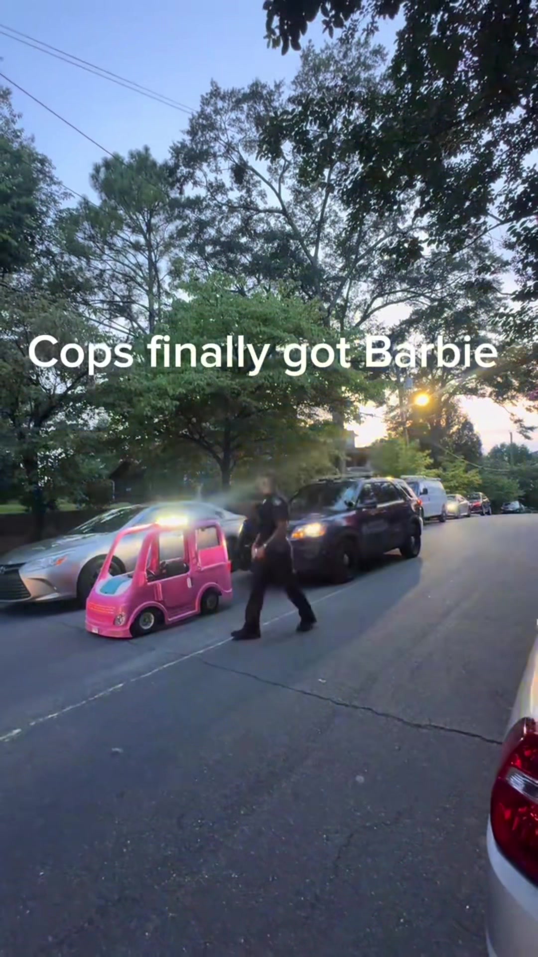 @Mar Boss Farmer